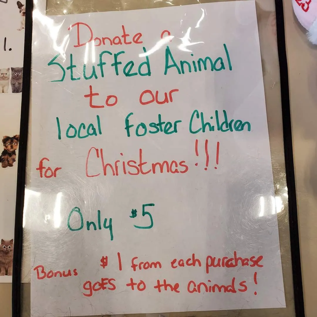 A stuffed animal collection at PetSmart Dover